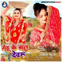 Gehu Ke Bal Devru - Amisha Gupta