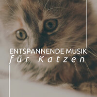 Beruhigende Musik - Gewitter Naturgeräusche Entspannungsmusik