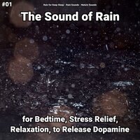 Meditation for Stress - Rain for Deep Sleep & Rain Sounds & Nature Sounds