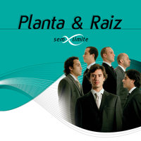 De Você Só Quero Amor - Planta e Raiz