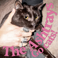 Don't Forget! - The Ashtrays