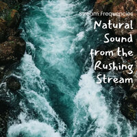 Flying Gulf - Rivers and Streams & Water Science & Water Soundscapes