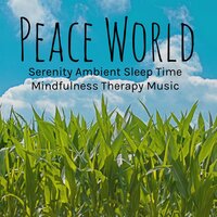 Peace World - Pregnancy Soothing Songs Masters