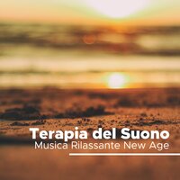 Mindfulness - 101 Musica Classica Artisti & Meditation Relaxation Club & Meditation Relaxation Club & 101 Musica Classica Artisti