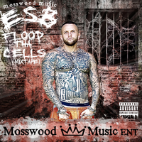 Nothing At All - Mosswood Music ESB