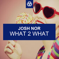 What 2 What - Josh Nor