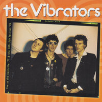 No Fun / Raw Power - The Vibrators