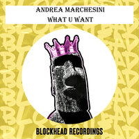 What U Want - Andrea Marchesini & Richard Earnshaw & Ridney