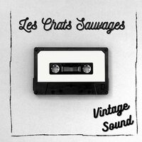 Toi, l'étranger - Les Chats Sauvages