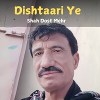 Dard Che Yarega - Shah Dost Mehr