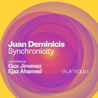 Synchronicity - Juan Deminicis & Ejaz Ahamed