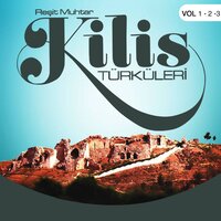 Evlerinin Önü İğde Değil Mi - Reşit Muhtar
