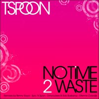 No Time 2 Waste - T-Spoon & Spic & Span