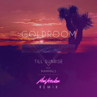 Till Sunrise - Goldroom & mammals