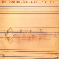 נגן אקורדיון ישן - Ran Eliran