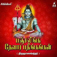 Paayum Maalvidai - Veeramani Kannan