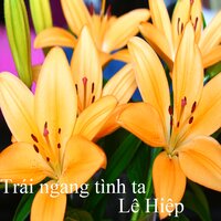 Yêu lần đầu 2 - Lê Hiệp