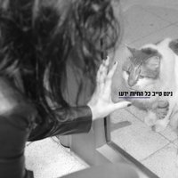 חבלים - Ninet Tayeb