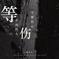等不到的人伤不够的心 - 韩小欠