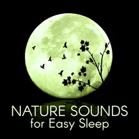 Serenity (Sleep Music) - Inspiring Dreams Academy