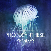 Photosynthesis - Carbon Based Lifeforms & Gaudi