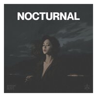 Sophisticated Cognizance - Dormir