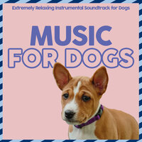 Chasing Dreams - Relax My Dog & Dog Music Dreams & RelaxMyDog