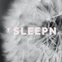 Big Fan Shhh - SLEEPN & Dylan Barnes & Rob Davy & Mark Dowling