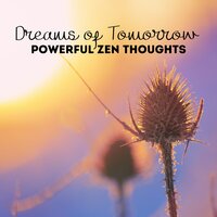 Serenity for Life - Deep Aura Meditation Ambient
