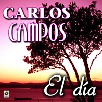 Bachacho - Carlos Campos