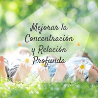 Despierta Sus Sentidos - Armonía Creativa