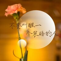 不要叫醒一个装睡的人 - 江波