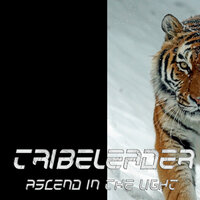 Universe Evolution - Tribeleader