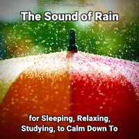 The Sound of Rain for Sleeping and Relaxing Pt. 48 - Nature Sounds & Rain Sounds & Regengeräusche
