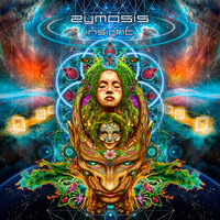 Make A Wish - Zymosis