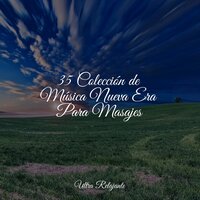Iluminación - Meditar Profundamente & Sonidos de la Naturaleza para Dormir & Musica relajante