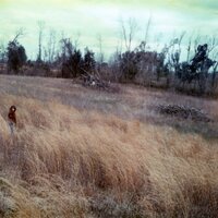 In Her Tomb By The Sounding Sea - Carrousel