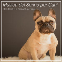 Fiocco di neve invernale - RelaxMyDog & Dog Music Dreams & Relax My Puppy