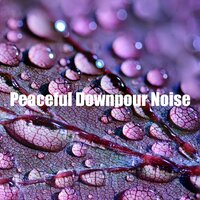 Fantastic Rain Drops Noise - Rain Sound