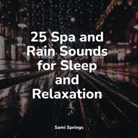 Wet Outside - Study Music & Sounds & Deep Sleep Systems & Tinnitus Aid
