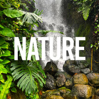 The Sound Of Nature - Nature and Rain