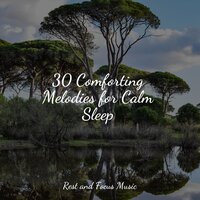 Carried by the Breeze - Spa Zen & Alpha Brain Waves & Sleepy Night Music