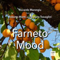 Farneto Mood - Riccardo Marongiu & Stefano Travaglini & Roberto Monti