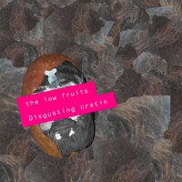 Junk - The Low Fruits