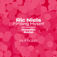 Reasons - Ric Niels & Dowden