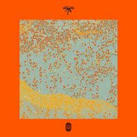 Akihi - SURV & Takeshi's Cashew & Curv
