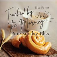 Rest at the Weekend - Blue Forest