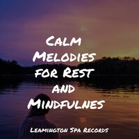 Stress Removal - Natural Nature Makers & Binaural Beats & Lullaby Babies