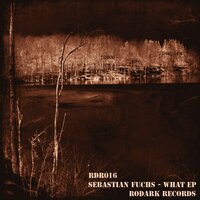 Say What - Sebastian Fuchs & Dark Pulse