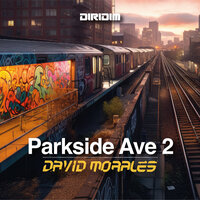DIRIDIM Zone - David Morales